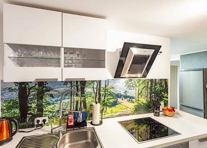 Baumgaertner Apartment